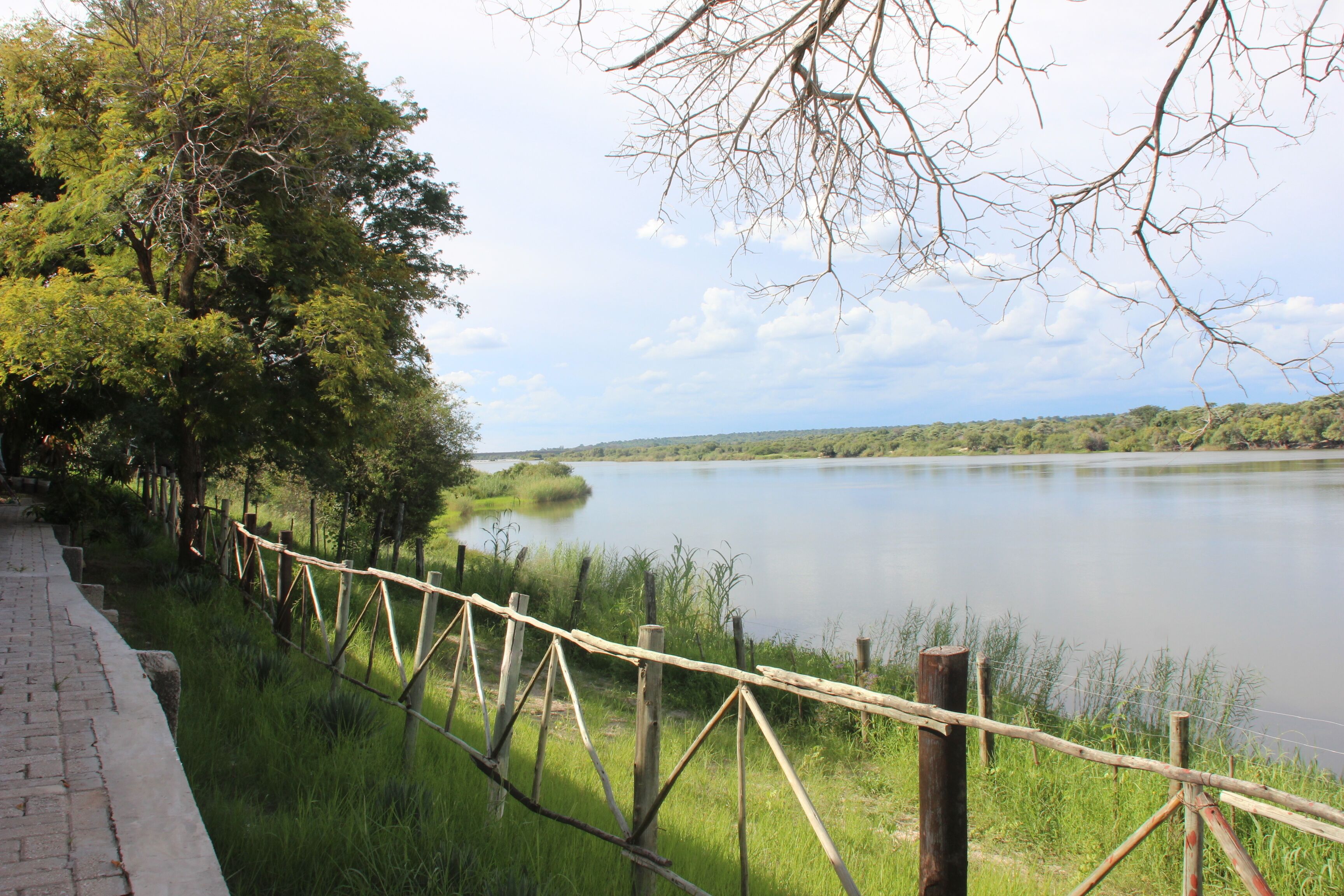 Un vialetto lastricato lungo un lago tranquillo, circondato da vegetazione lussureggiante e un recinto in legno.