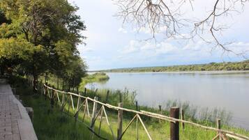 Un vialetto lastricato lungo un lago tranquillo, circondato da vegetazione lussureggiante e un recinto in legno.