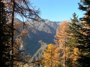 A mountainous landscape with dense forest and a clear sky. - Ferienwohnungen Mon Etoile, (Grächen), by Interhome (Grächen)