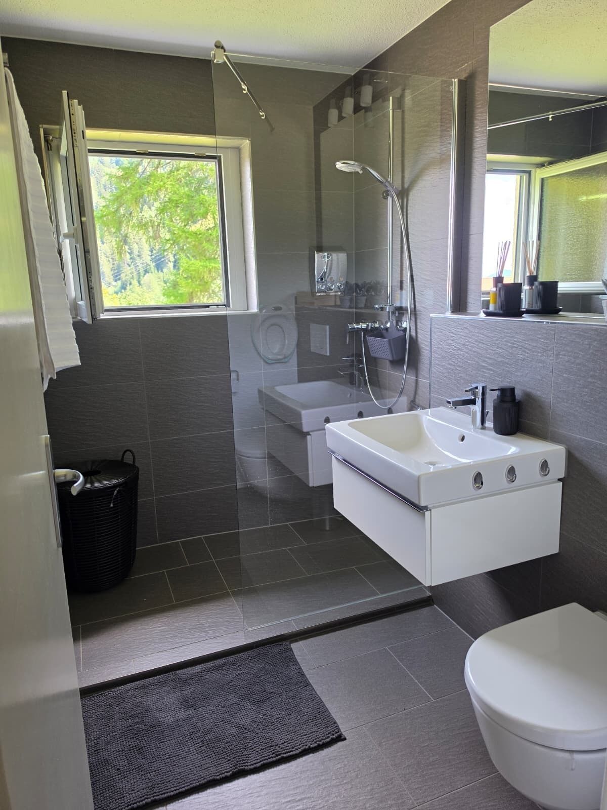 Hair dryer, towels, soap, shampoo