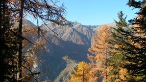 Un paisaje montañoso con bosque denso y cielos despejados.
