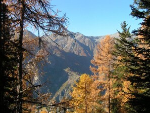 A mountainous landscape with dense forest and clear skies. - Mon Etoile, (Grächen), by Interhome (Grächen)