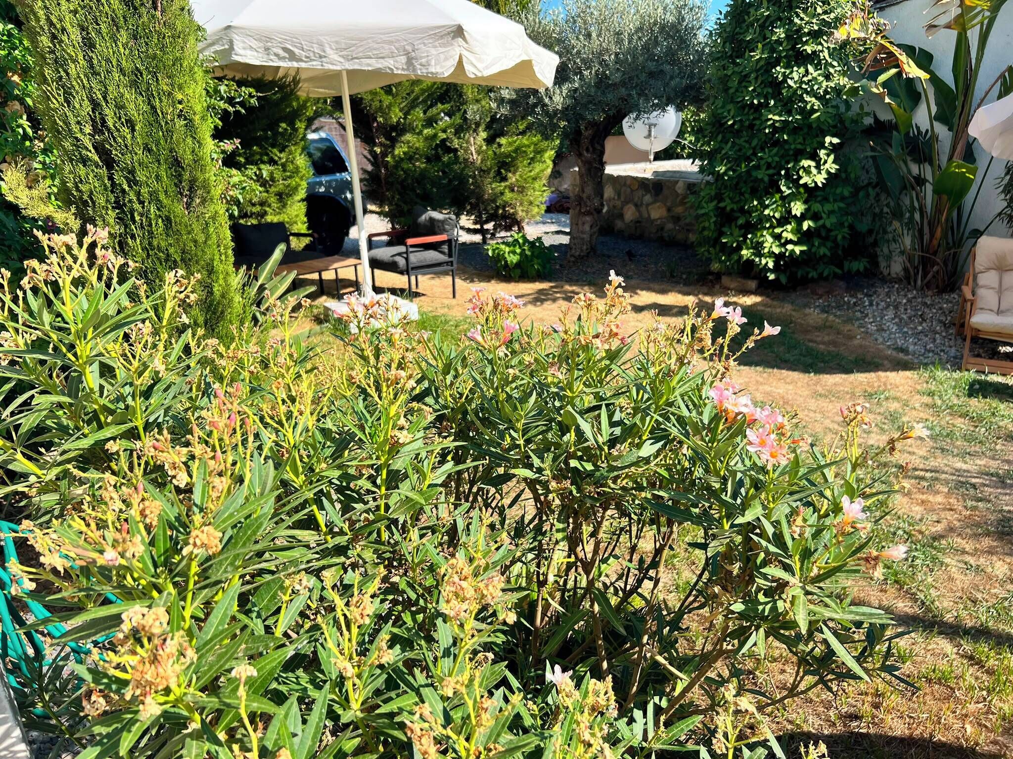 Un jardín con patio, mobiliario exterior y diversas plantas.