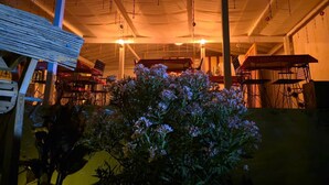 Il s’agit d’un espace intérieur doté d’un plafond haut, de poutres apparentes et de décorations suspendues. Des tables et des chaises y sont disposées pour permettre aux gens de s’asseoir.