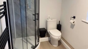 A modern bathroom with a glass shower enclosure, a toilet, a trash bin, and a toilet paper holder.