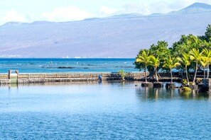 A coastal scene with a calm sea, rocky shoreline, and palm trees.