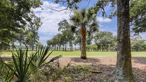 A park with a variety of trees, including a prominent palm tree, and a well-maintained lawn. - New Listing! Luxury Updated 4 BR 3 BA Golf View Near the Beach Pool Sea Pines (Hilton Head Island)