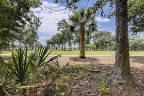 A park with a variety of trees, including a prominent palm tree, and a well-maintained lawn. - New Listing! Luxury Updated 4 BR 3 BA Golf View Near the Beach Pool Sea Pines (Hilton Head Island)
