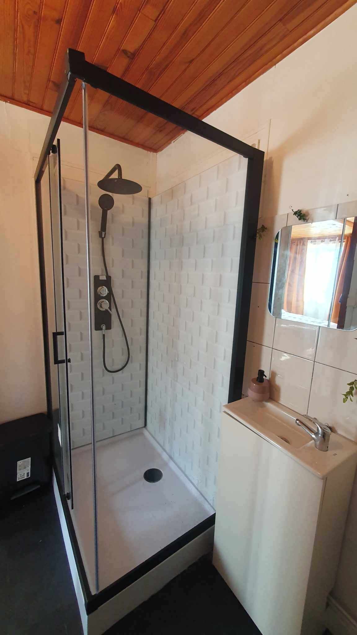 Una ducha con puerta de vidrio, un lavabo con espejo y pared de azulejos.