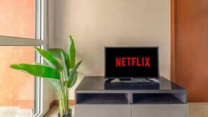 Een televisie op een standaard met het Netflix logo, een potplant en een raam.