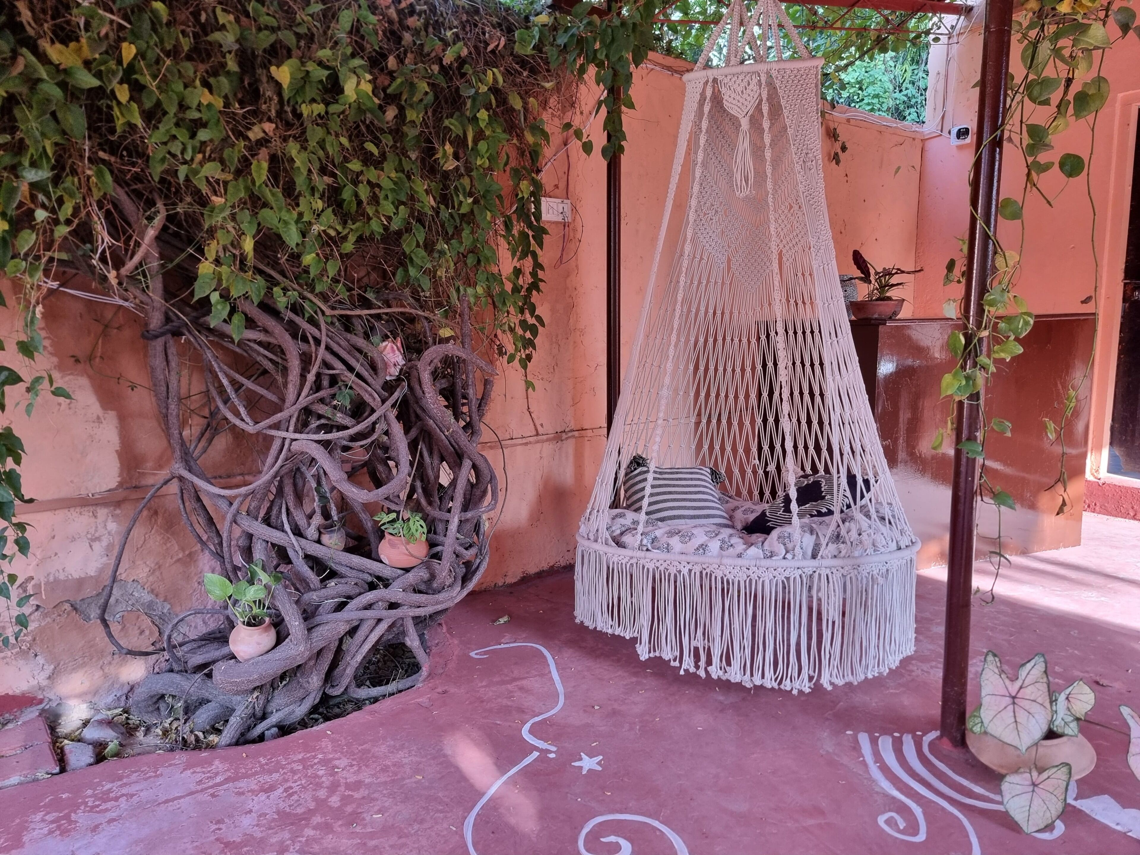 A macramé hanging chair with cushions, a macramé canopy, and a wall with climbing plants.
