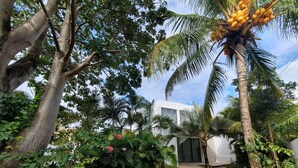 En asfalterad gångväg leder fram till en modern byggnad med en vit fasad, omgiven av frodig grönska och palmer.