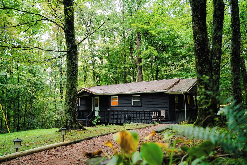 Un chalet rustique entouré d’une forêt dense.