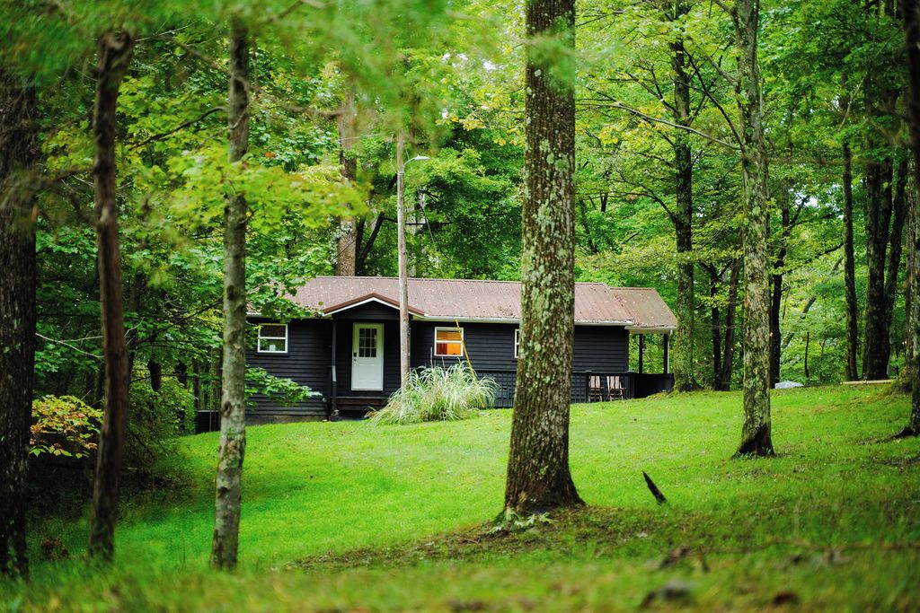 Une cabane entourée d’arbres, avec une cour gazonnée.