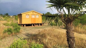 Une cabane en bois avec deux fenêtres et une porte, entourée d’herbe sèche et d’un palmier.