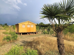 A wooden cabin with two windows and a door, surrounded by dry grass and a palm tree. - A cabin in a bamboo grove—a stunning natural setting (Miranda do Douro)