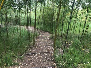 Property grounds - A cabin in a bamboo grove—a stunning natural setting (Miranda do Douro)