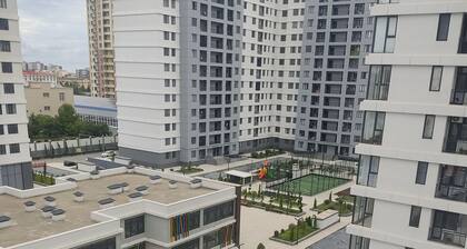 Avant Park Premium