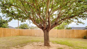 A tree in a yard with a wooden fence in the background. - 2 Mi to Texas Tech: Pet-friendly Home, Fenced Yard (Lubbock)