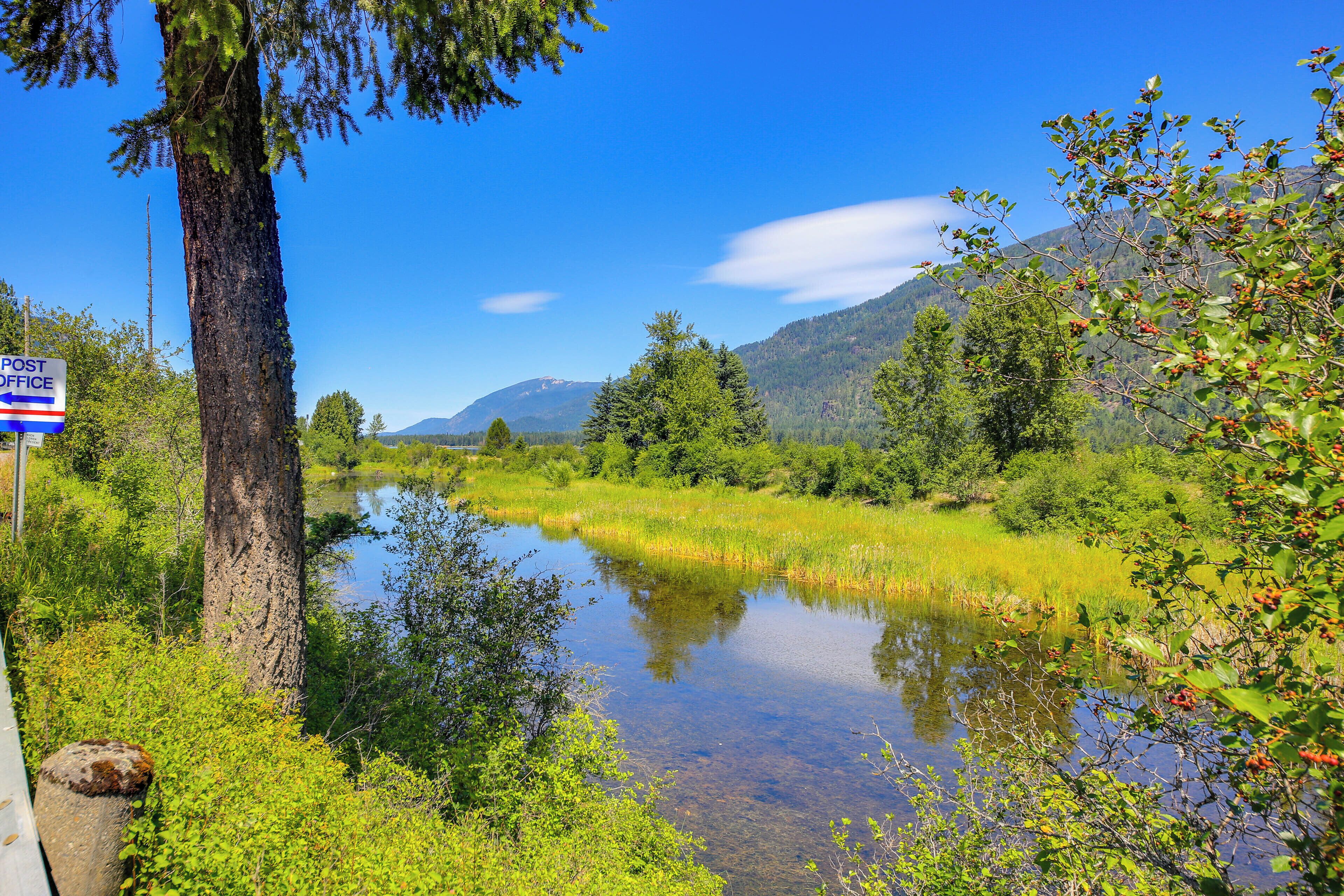 Un río con vistas claras a las montañas al fondo, rodeado de vegetación exuberante.