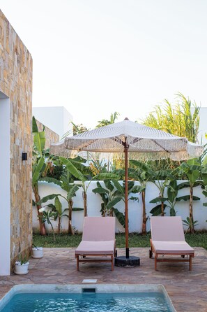 Pool - luxury 3 bedroom villa steps away from kiwengwa beach (Zanzibar)