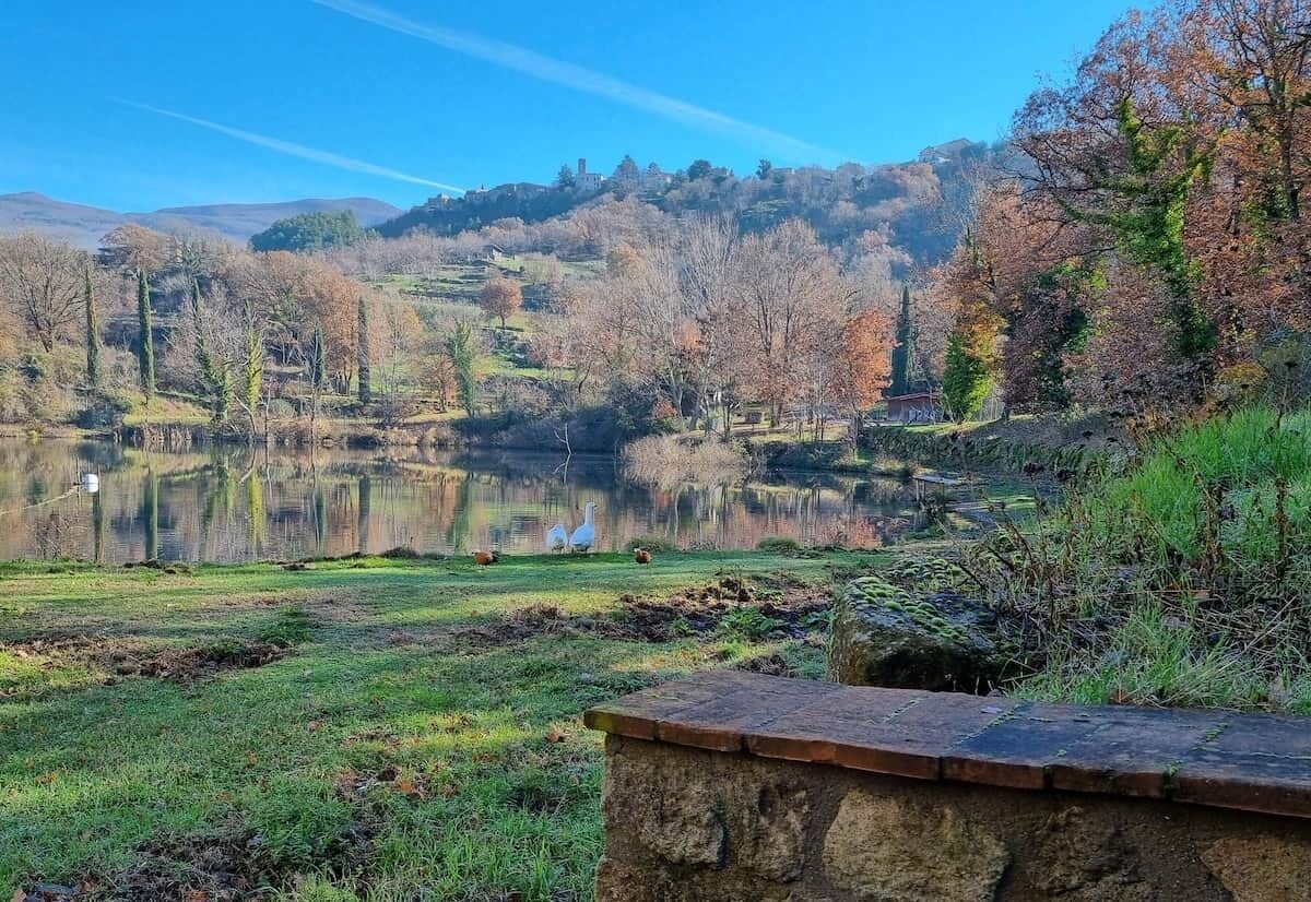 Un lago tranquillo con anatre, circondato da alberi e un muro in pietra.