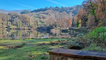 Un lago tranquillo con anatre, circondato da alberi e un muro in pietra.