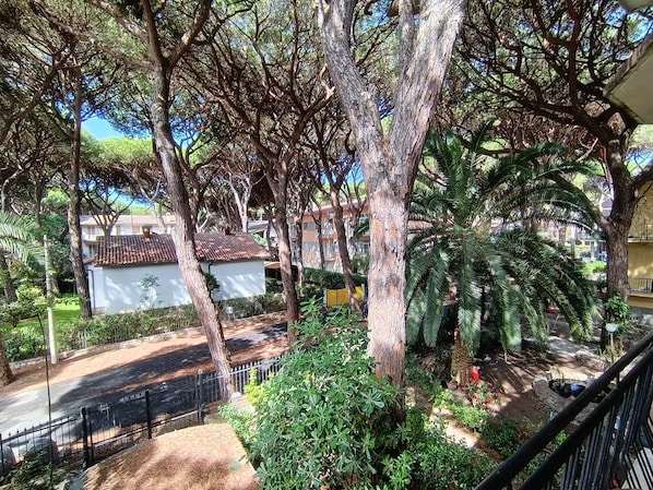 Property grounds - 452 Maremma Orchid, Air-Conditioned, 4-Seater (Marina di Grosseto)