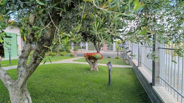 A well-maintained garden with a tree, a flower pot, and a lamp post. - Everything is just a bike ride away! 10 minutes to the beach with free (Grosseto)