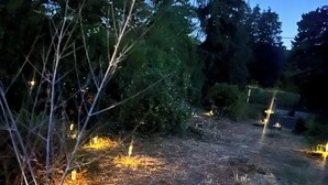 A garden area with pathways and trees, illuminated by ground lights. - Villa Papillon Clermont-Ferrand, 3-star, for 2 to 6 people, Clermont-Ferrand (Nohanent)