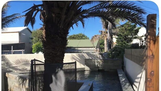 A swimming pool with a palm tree, surrounded by walls and a fence. - Kaz HOLY LAND (Saint-Pierre)