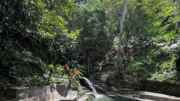 Un sentier de pierres mène à une étendue d’eau claire, bordée d’une végétation luxuriante.