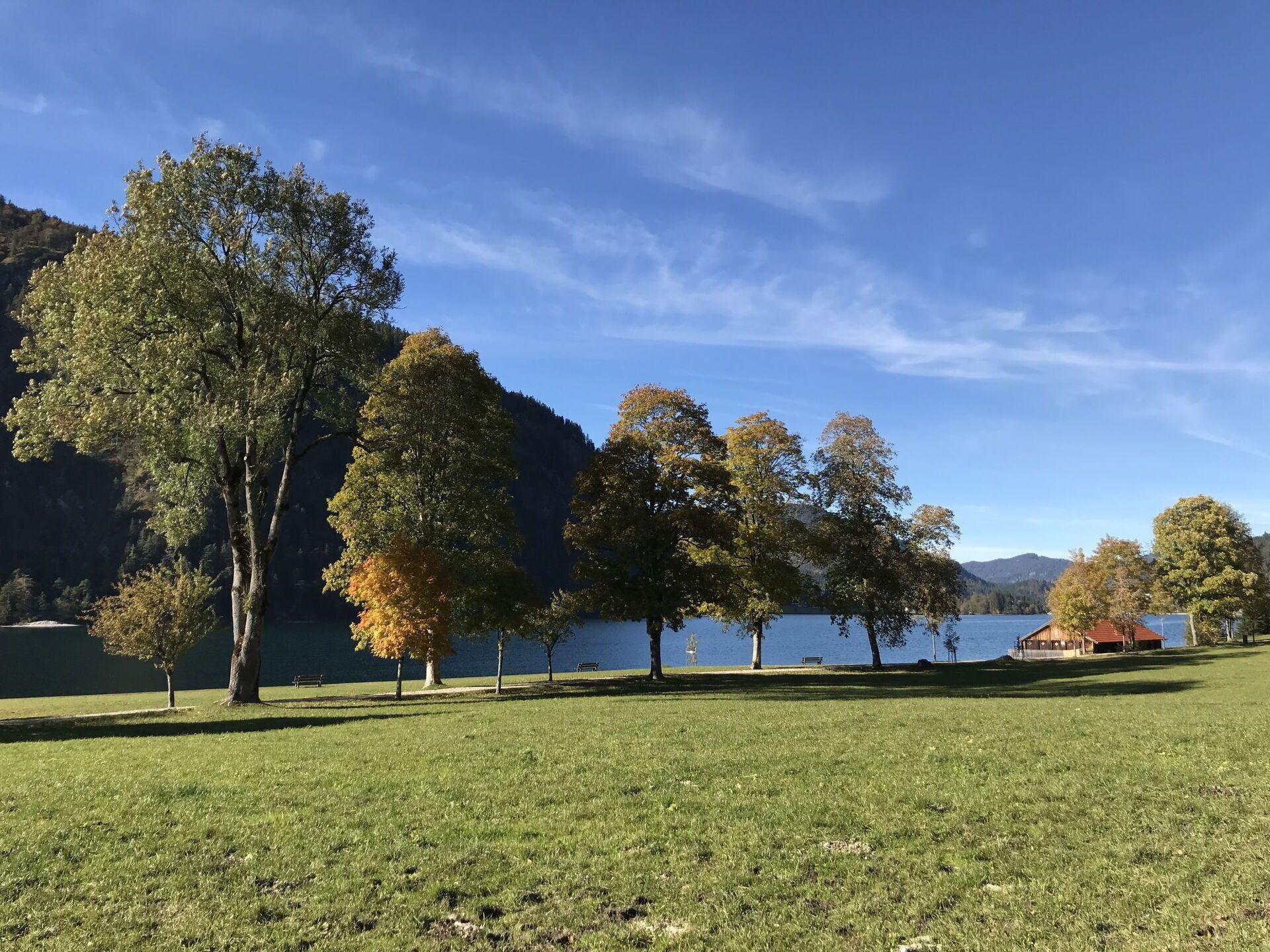 Eine parkähnliche Grünfläche mit Bäumen und einem See.