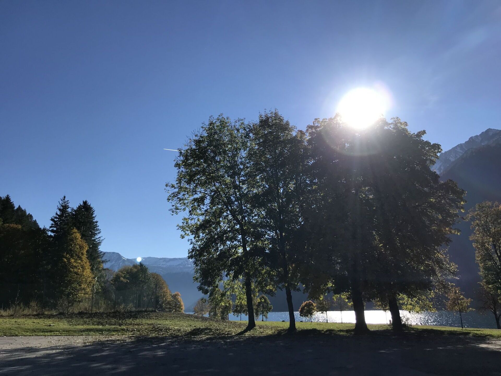 A park with a lake, trees, and mountains in the background.