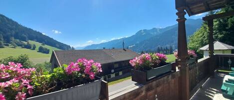 A balcony with wooden railings, potted flowers, and a view of a mountain landscape.
