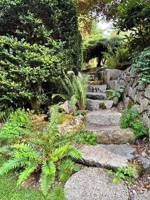 A stone staircase surrounded by lush greenery and ferns.