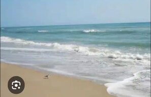 Beach - Charming 1-bedroom apartment with AC in Port St. Lucie (Port St. Lucie)