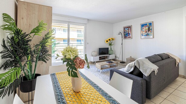 A living room with a sofa, a coffee table, a TV, a potted plant, and a window. - Bright One Bedroom Apt With Parking and Terrace (Cannes)