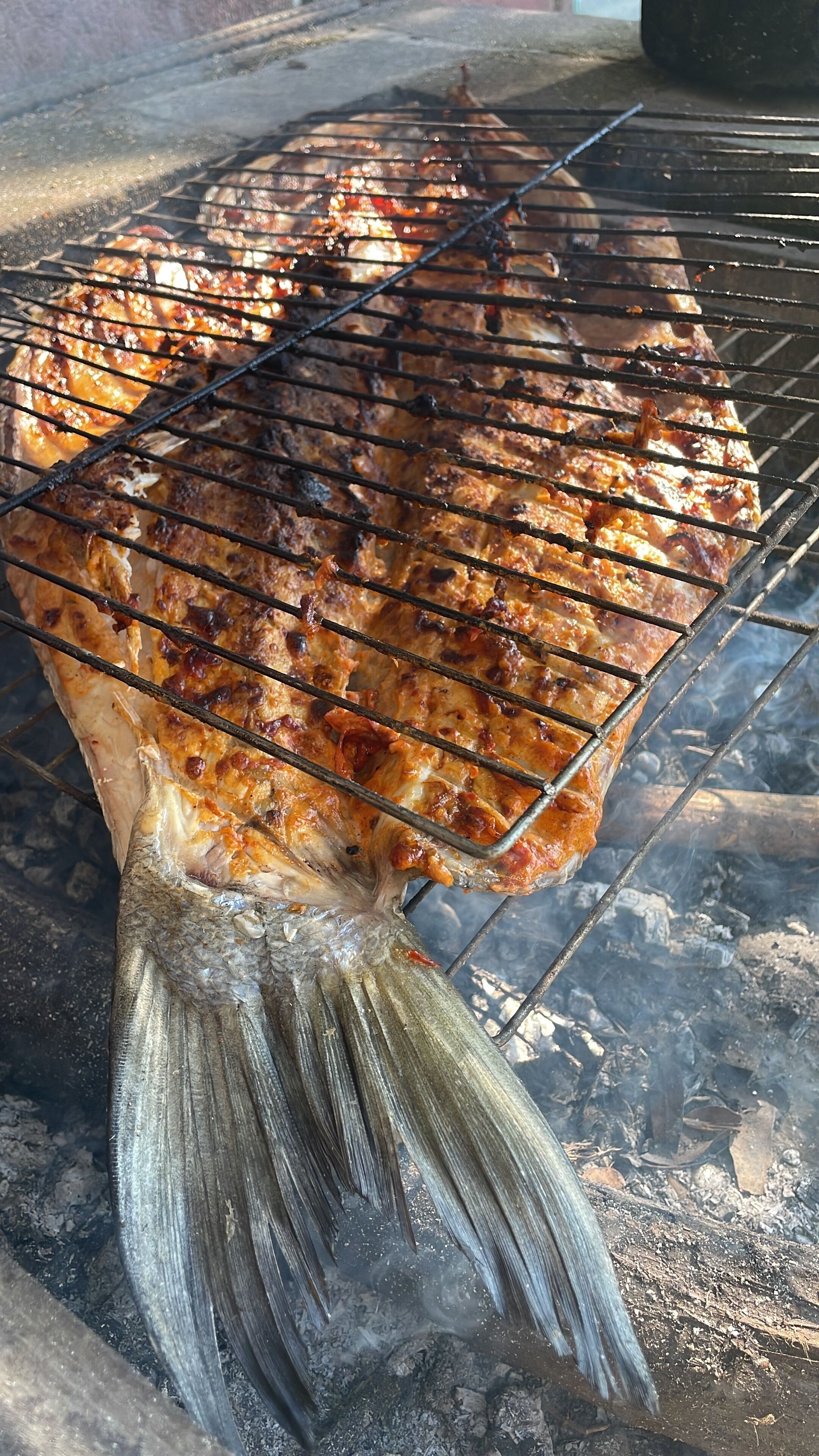 Ein Fisch wird auf einem Metallrost über offenem Feuer gegrillt.