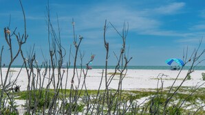 En strand med gles vegetation, en klar himmel och en avlägsen utsikt över havet.