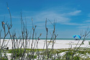 Ein Strand mit spärlicher Vegetation, blauem Himmel und weiter Aussicht auf den Ozean.