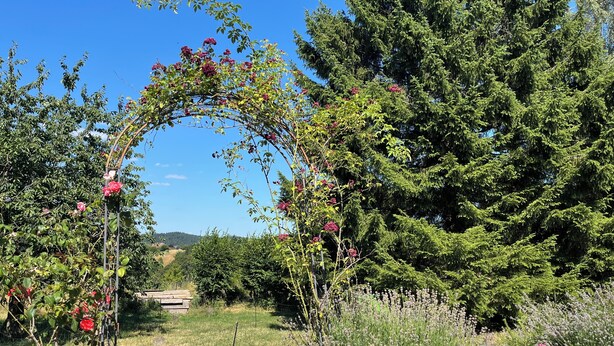 Property grounds - Spacious vacation rental with a view of nature (Breitscheid)