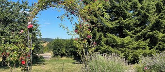 Spacious vacation rental with a view of nature