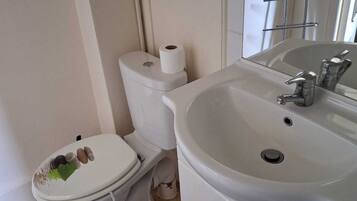 Douche, serviettes fournies, papier toilette