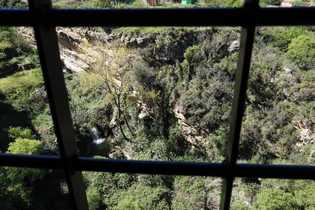 A view through a window with a metal grid, featuring a natural landscape with a waterfall, dense greenery, and rocky terrain.