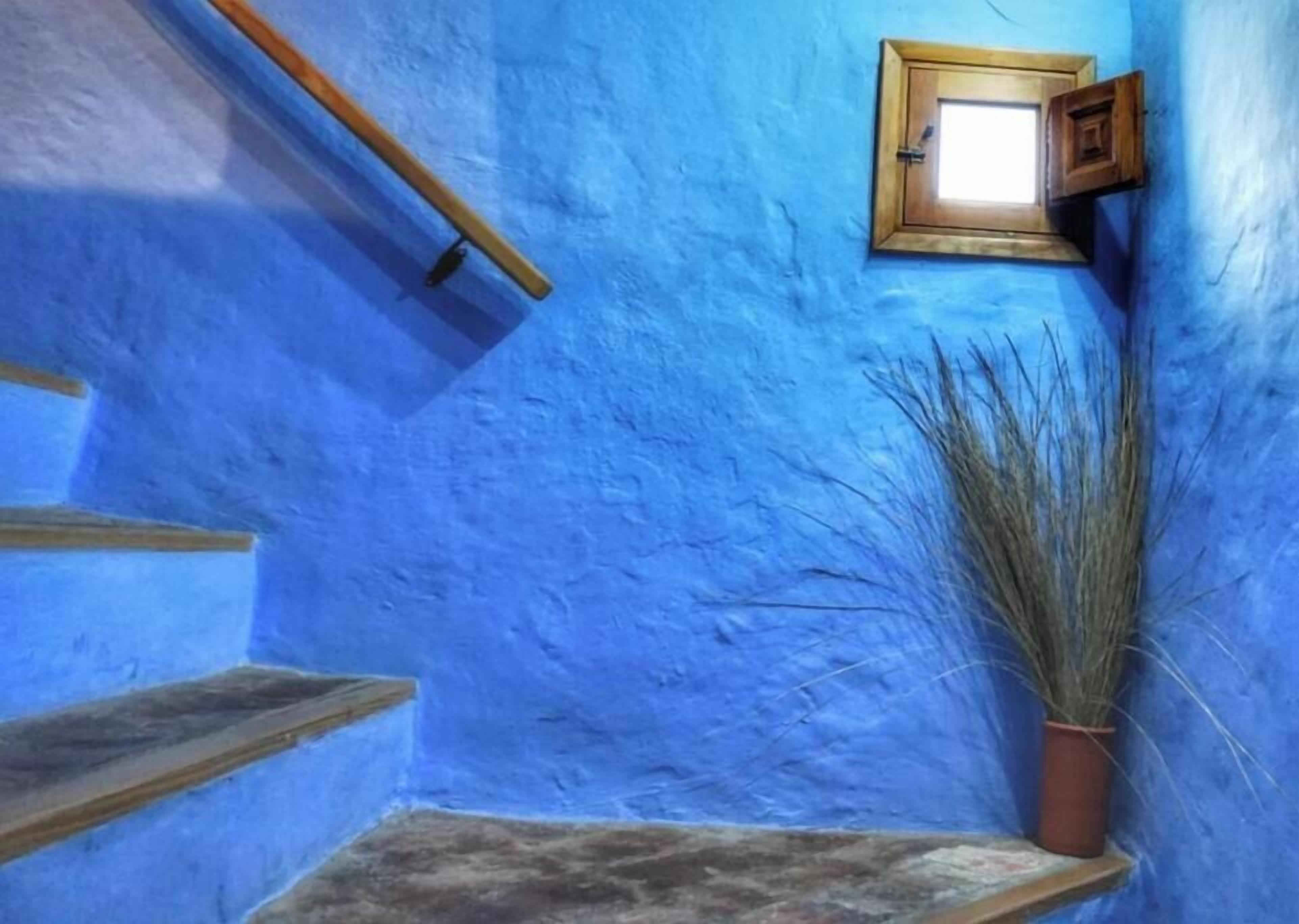A narrow stairway with wooden handrails and a potted plant.