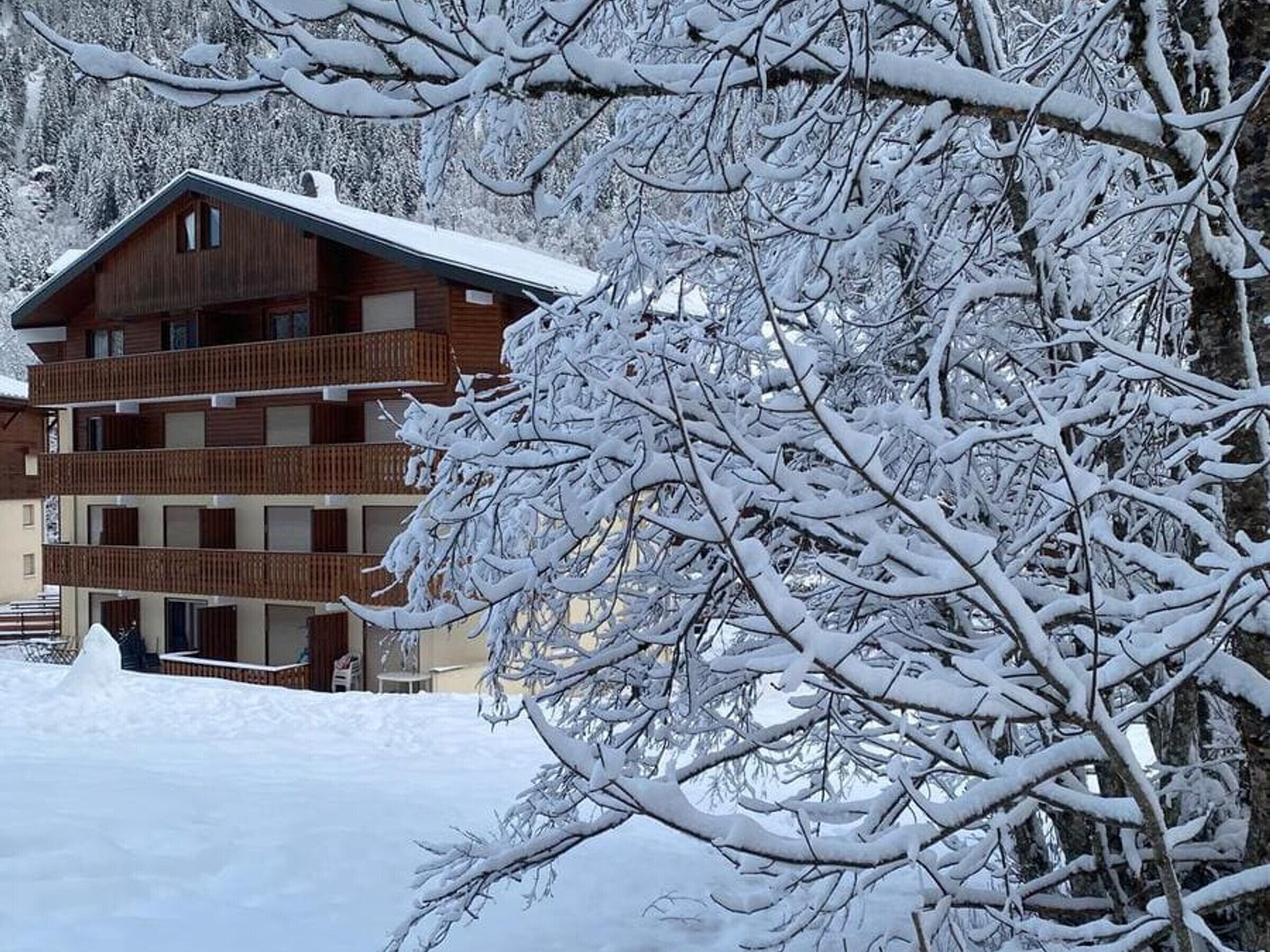 En flervåningsbyggnad i trä med balkonger, omgiven av snötäckta träd.