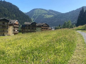 Property grounds - Apartment, pets allowed - 4 guests (Châtel)