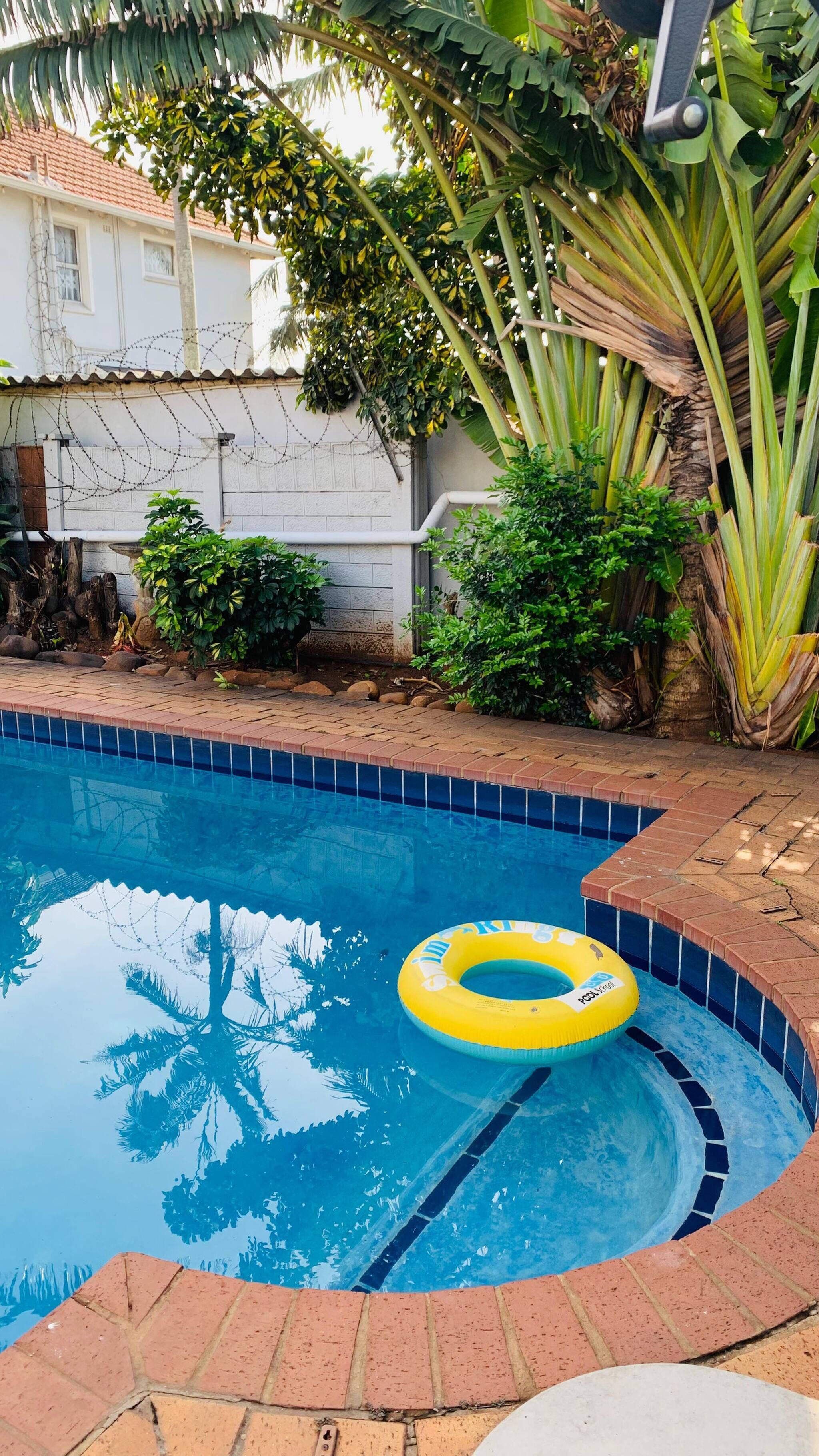 A swimming pool with a yellow inflatable ring, surrounded by plants and a white building with a tiled roof.