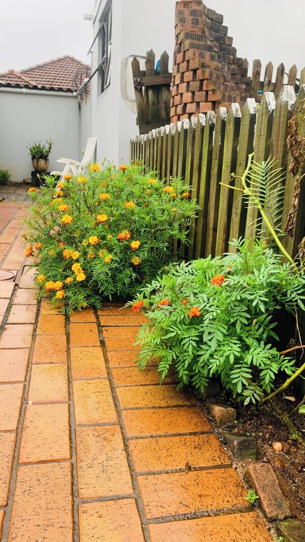 A brick pathway leading to a white building with a wooden fence and a brick chimney. - Welcome Home! Home Away From Home! (Durban)